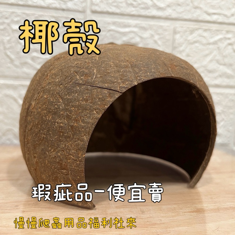 tw-11134207-7r98r-lnxum1qf0i0p6d