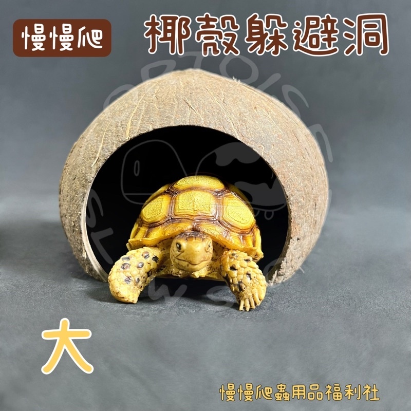 1b469f70ffedffc77bba5b984bf22f83