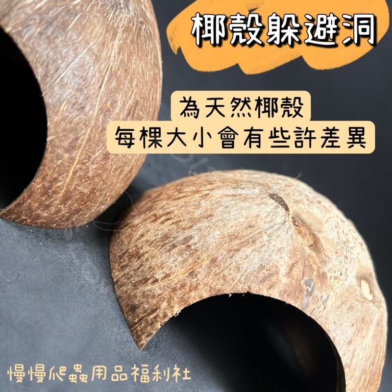 bf65604c6d951ed9a7a239e977ac347c