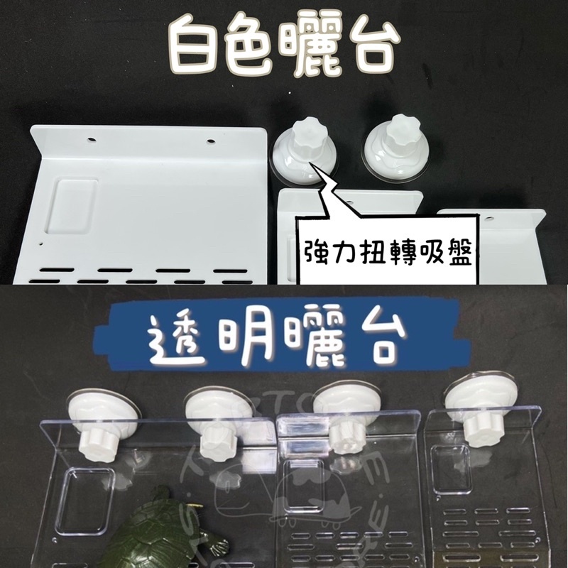 8a1c25f4b25d3e6145a6c8f452c7918f