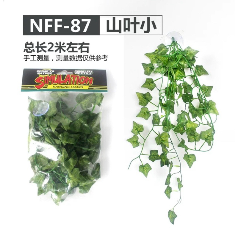 tw-11134207-7r98r-lqxbvq9tdj48e2