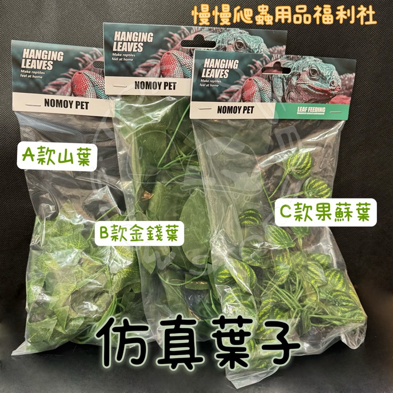 tw-11134207-7r98v-lqxbvqdp6fwo47