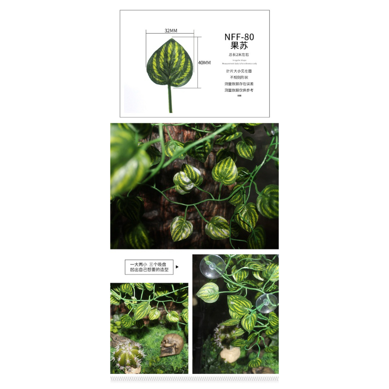 tw-11134207-7r98u-lqxbvq9tc4jsa6