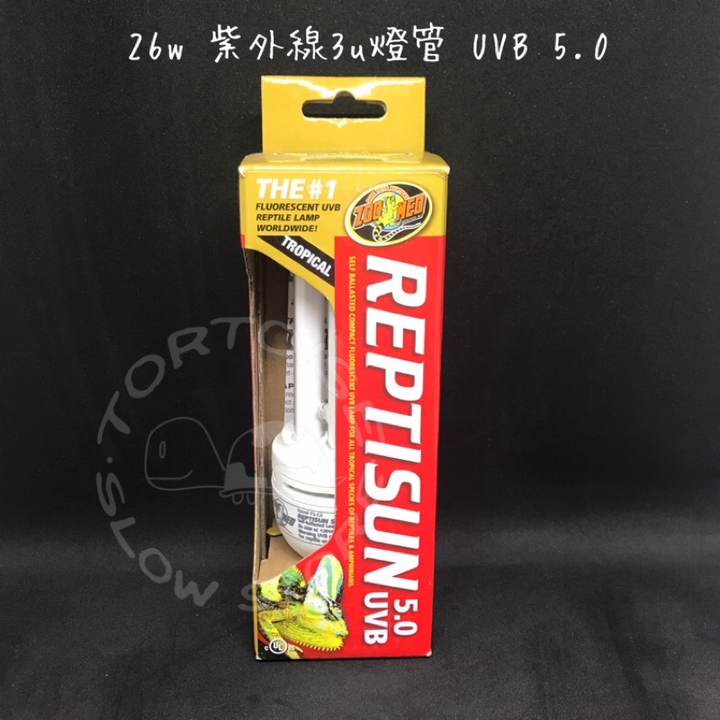 aa3da5fc3beedf32a740a53e2a036529