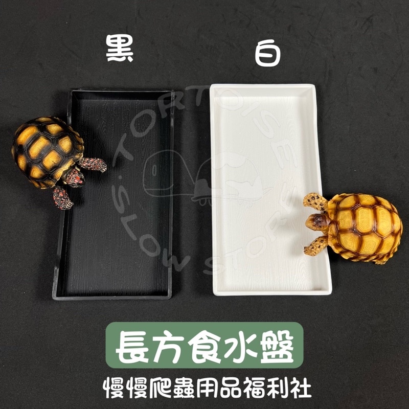 81d073408315b64e48c2000a310b9405