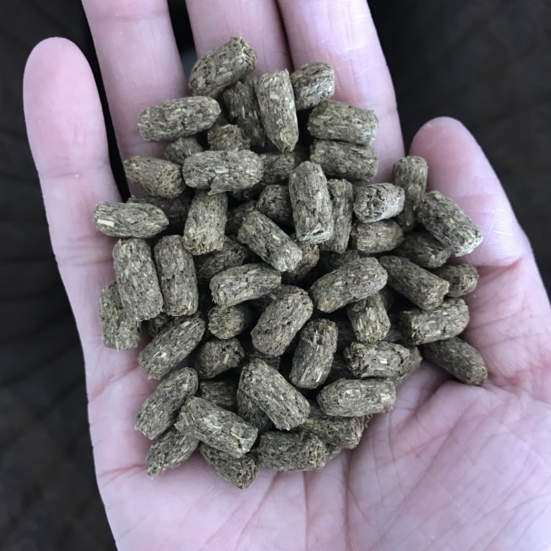 8d1694a0a0a1f8f9d0fafd6a59ad697d