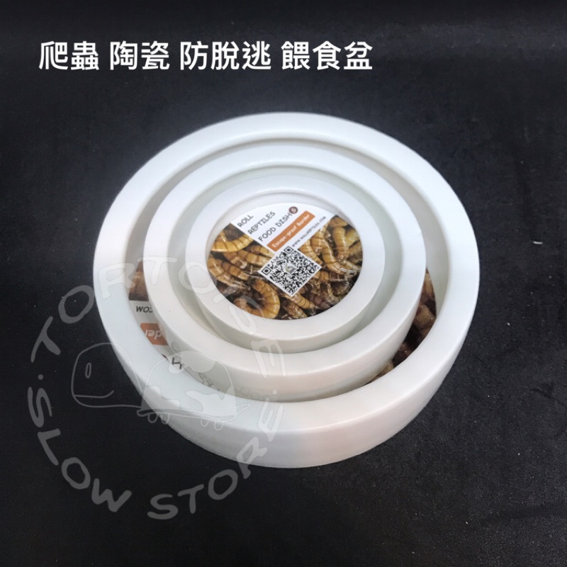 951bcb2731de6b372ee1a681624b6122