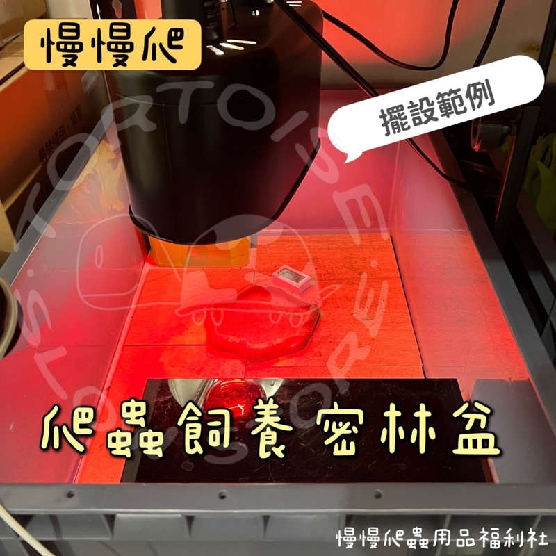 56768051fb3e0ac774302e02fe67f02e