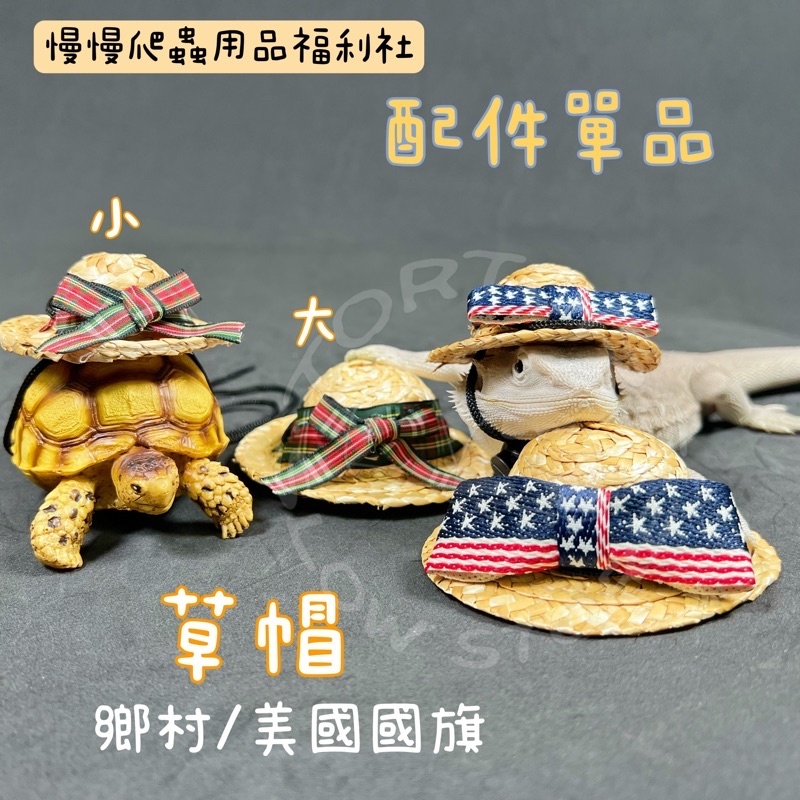 6781e3c87fe76a8418865f70c640198b