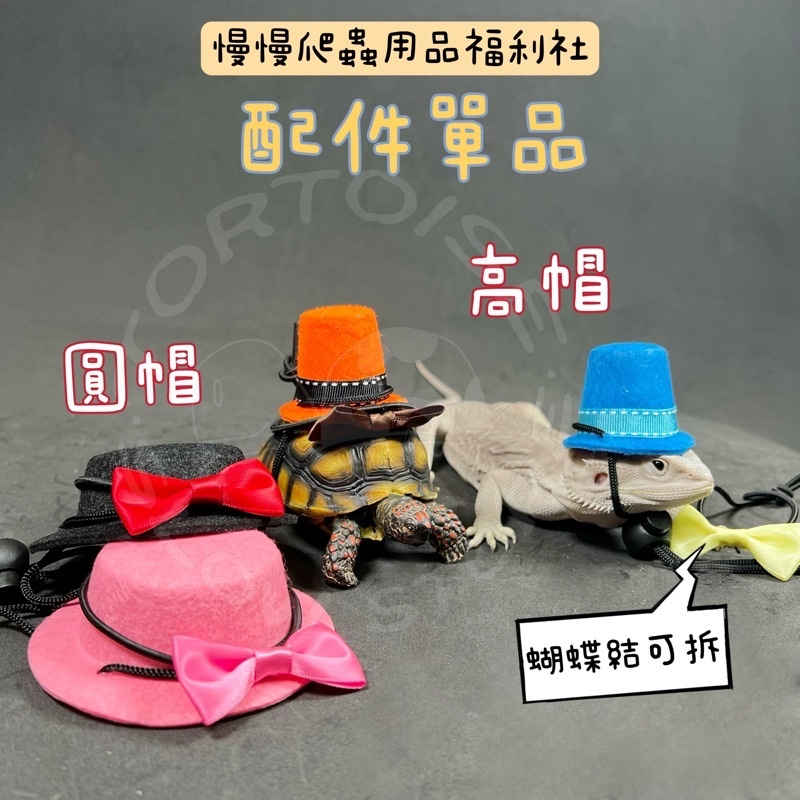 a33beb095f66c187dea0780e252995e6