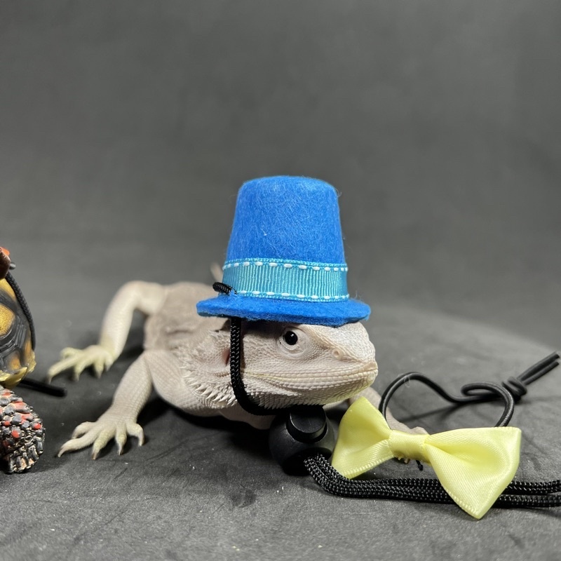 ee890b5179443aabc8cfa24087640360