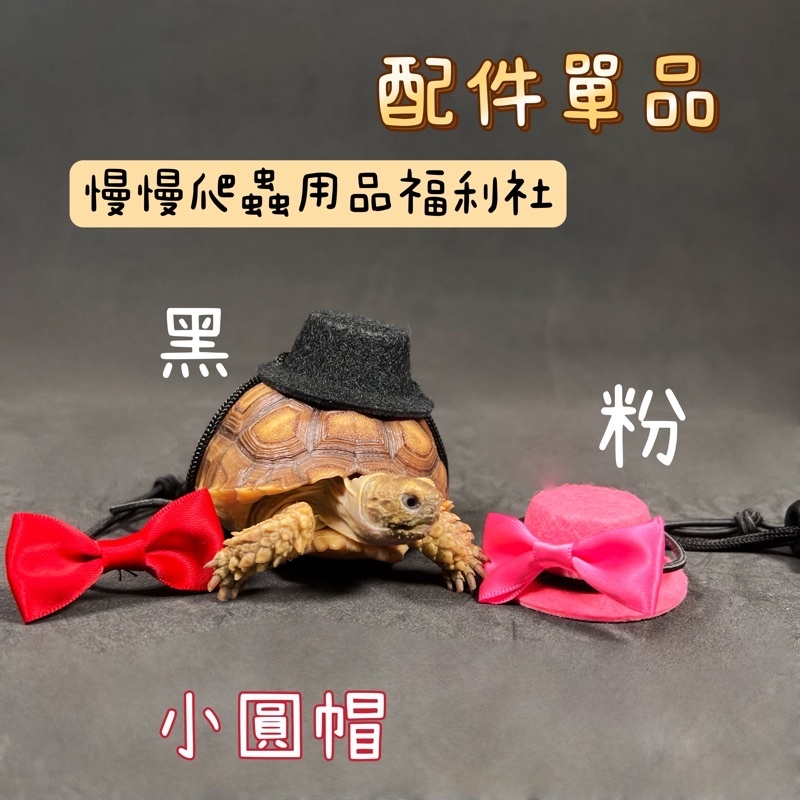 4c8729c451d88b8d063b76a4ee3a1ccd