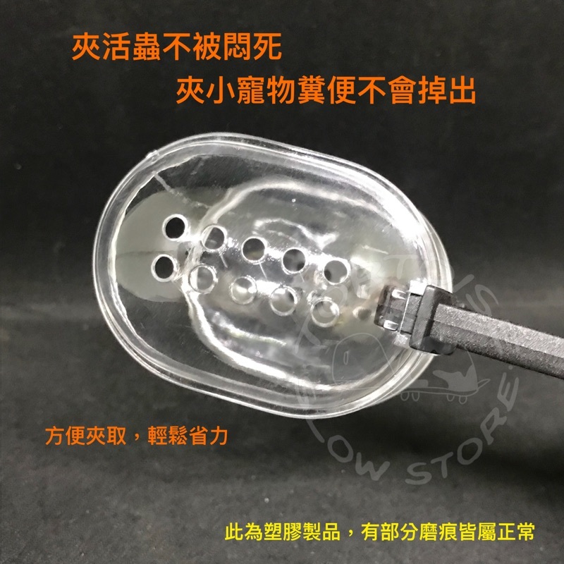 d20ffdc5df08265842f8239e9f8f5e78