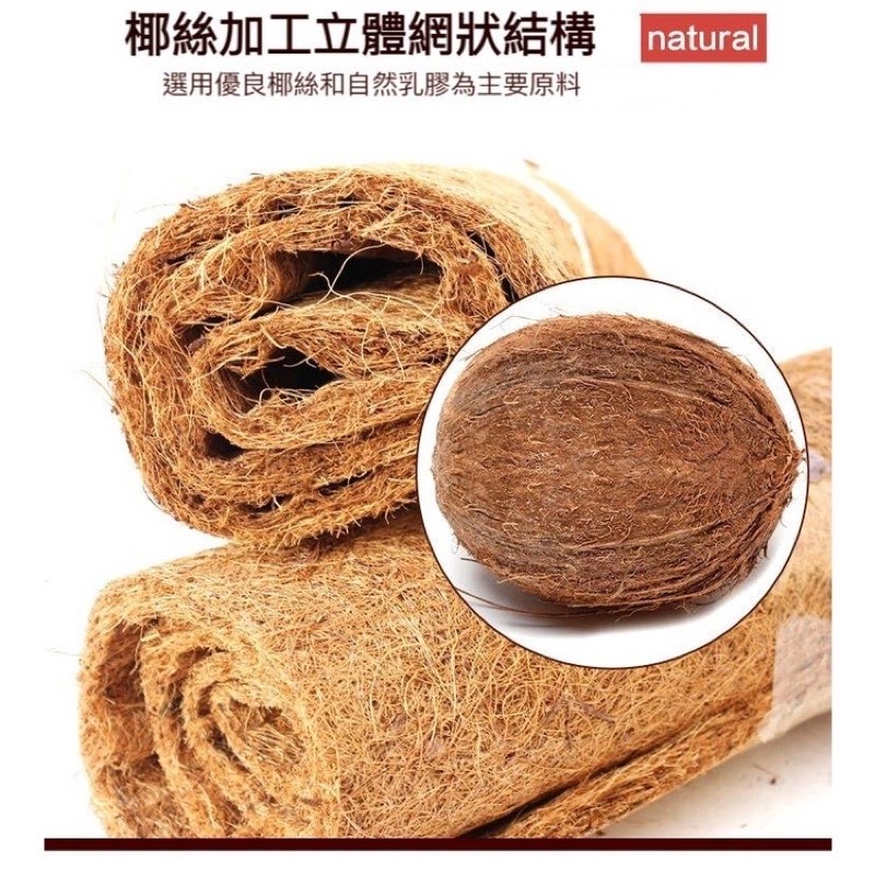 sg-11134201-22100-9yujbnyl7fiv20