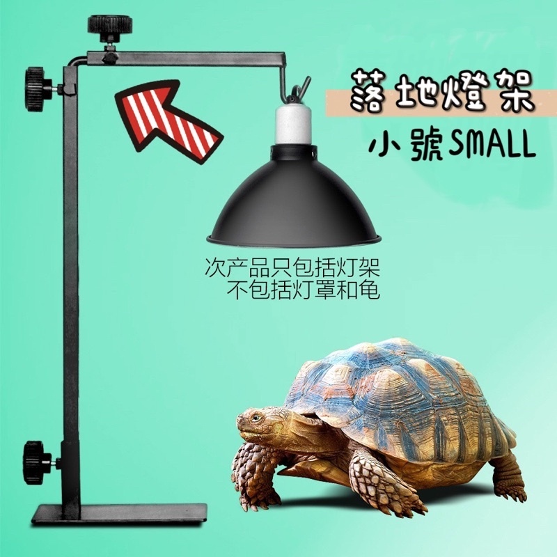 78b2035c708d79aa007bca65000e9b1b