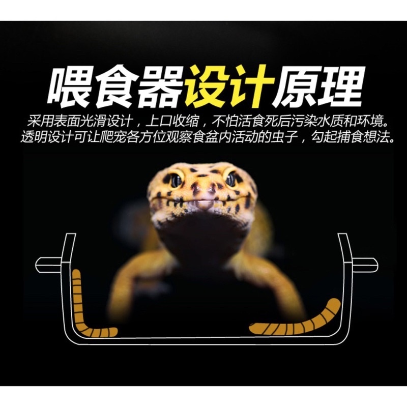 6cece9278886bfd02e2008217947095b