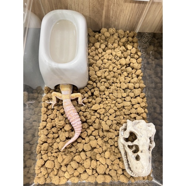 09ccb350517775ab00140aaabfff1831