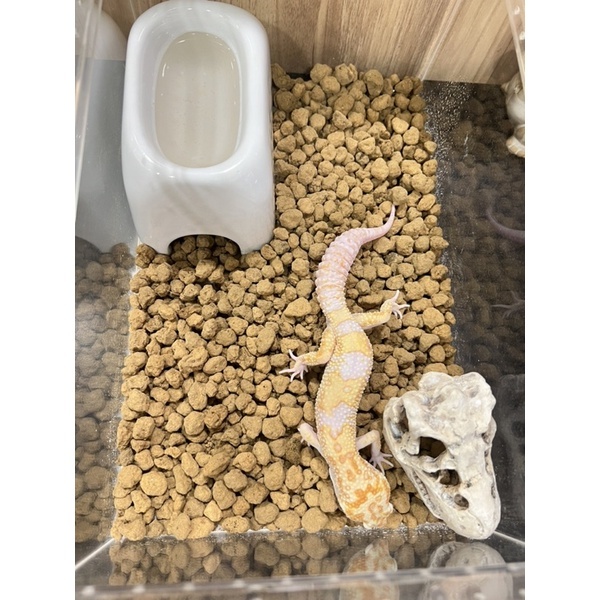 c4e7aa6c74c6d805b831621aae45eba4