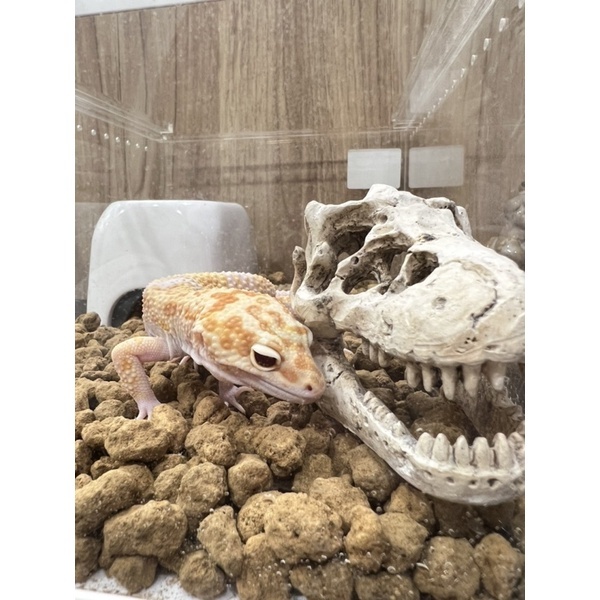 97c55d2945e937b8df40b35c597f478d