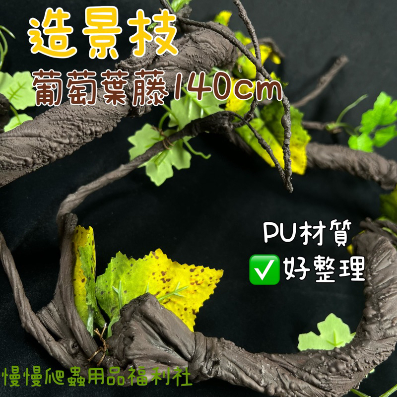 tw-11134207-7qukz-lg7s6hyco1eyfd