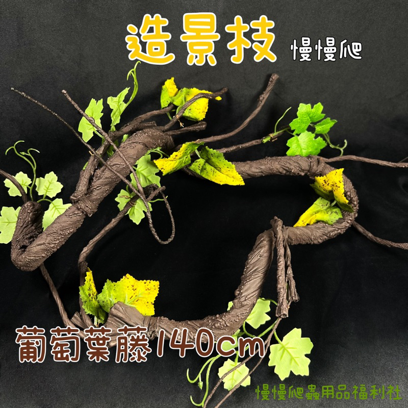 tw-11134207-7qukw-lg7r09veoyypf9