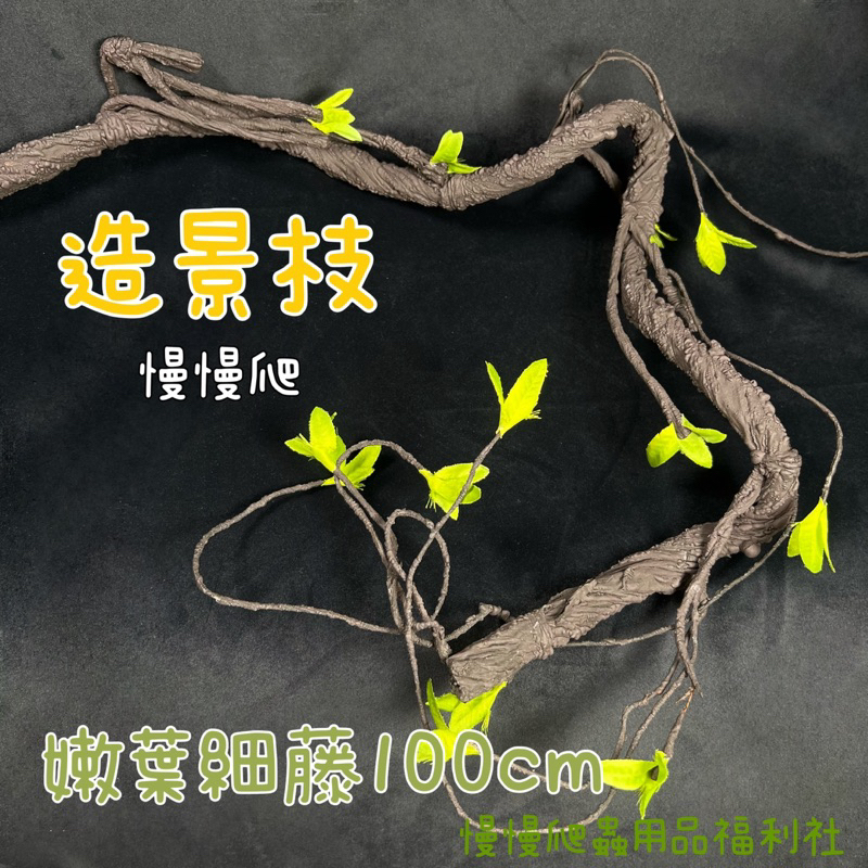 tw-11134207-7qukz-lg7s6hyc76lmce