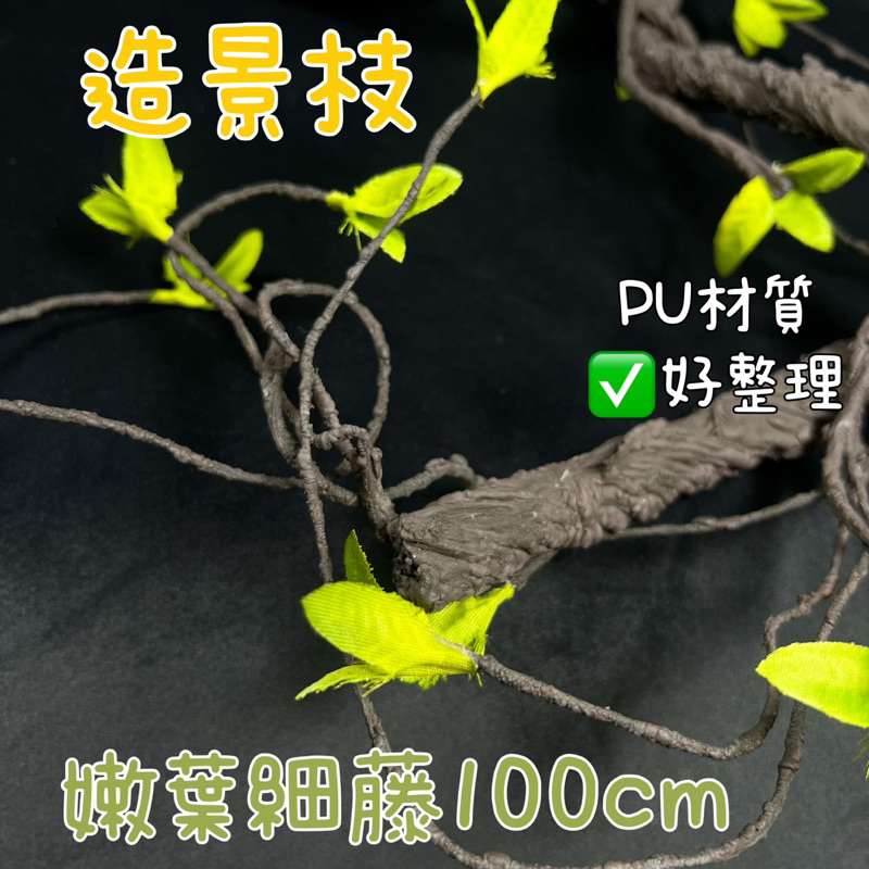 tw-11134207-7qul5-lg7s6hycmmui99