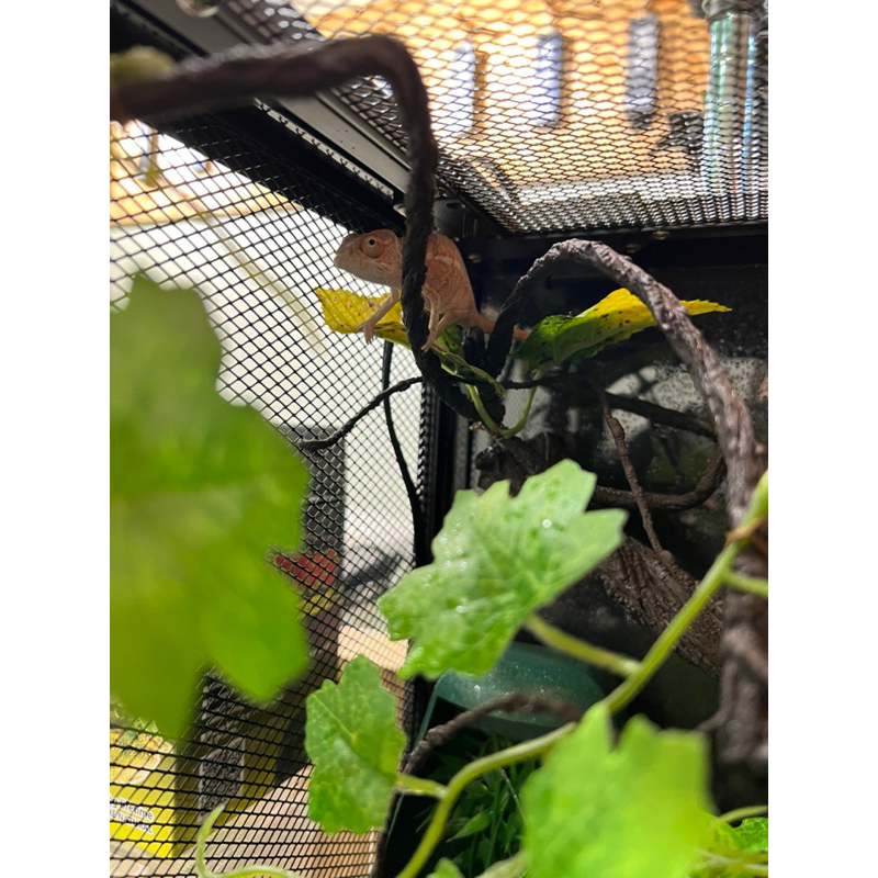 tw-11134207-7quky-lg7s6hycif4192