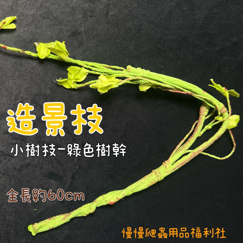 tw-11134207-7r98v-llt6p0mse4d752