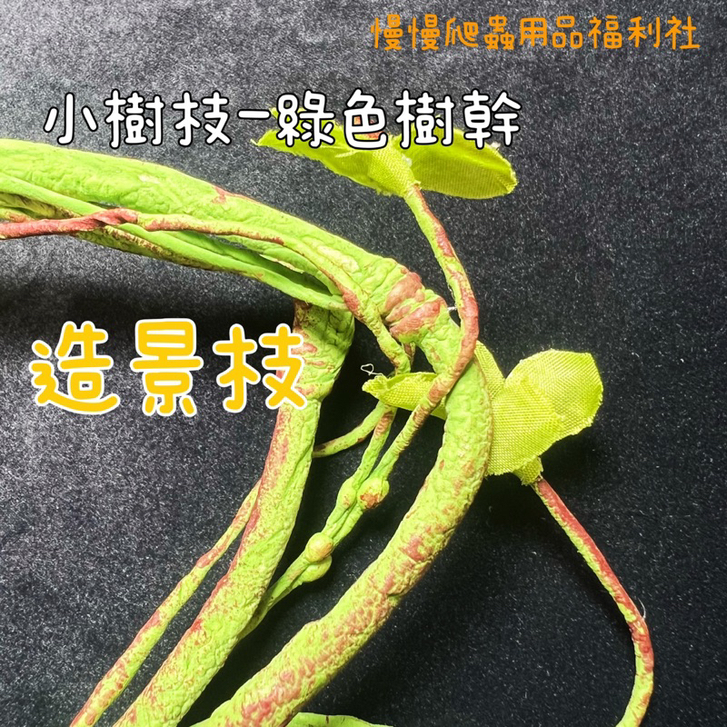 tw-11134207-7r991-llt6p0mse4k9df