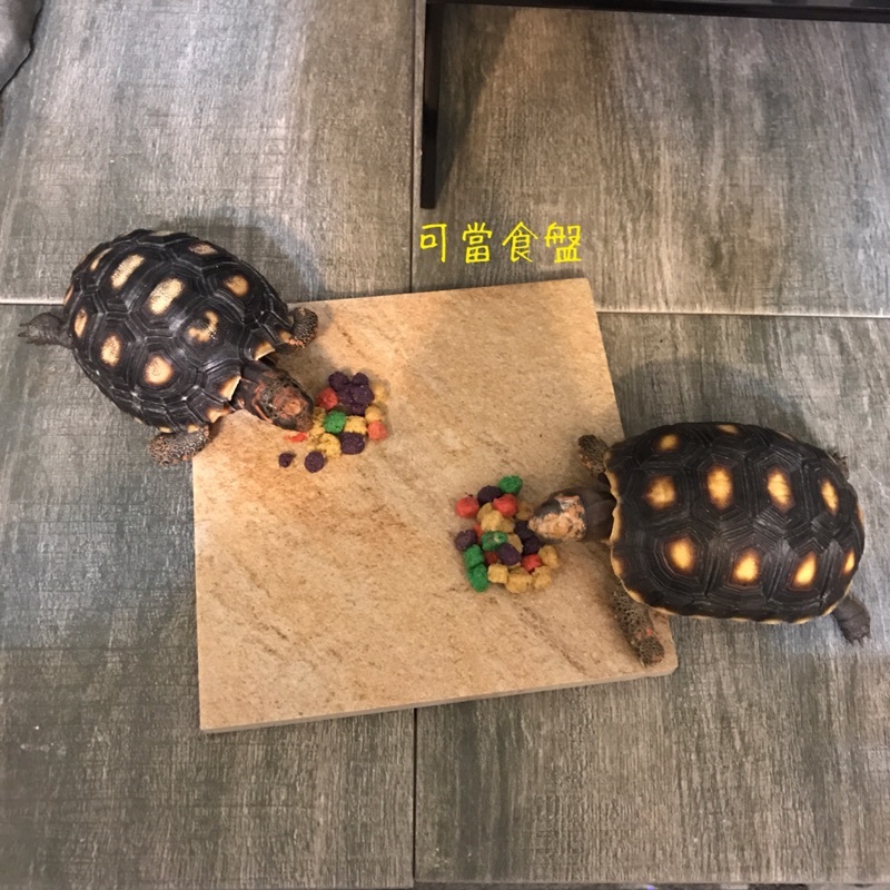 0bc4bc00427aaf0a3fcb9256bb090f9a