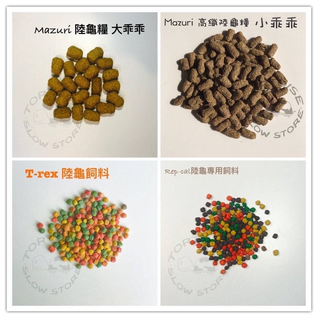 1f6b667ce9d19193cd136131493aeee2