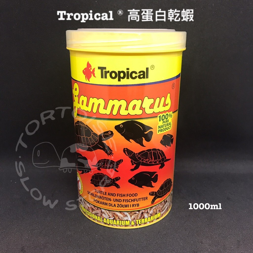 23a5110699134ce8df804d7541d0dafd