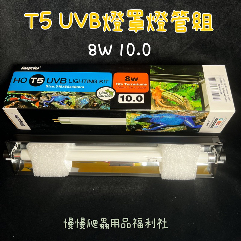tw-11134207-23030-h2uuv2ouqsov4b