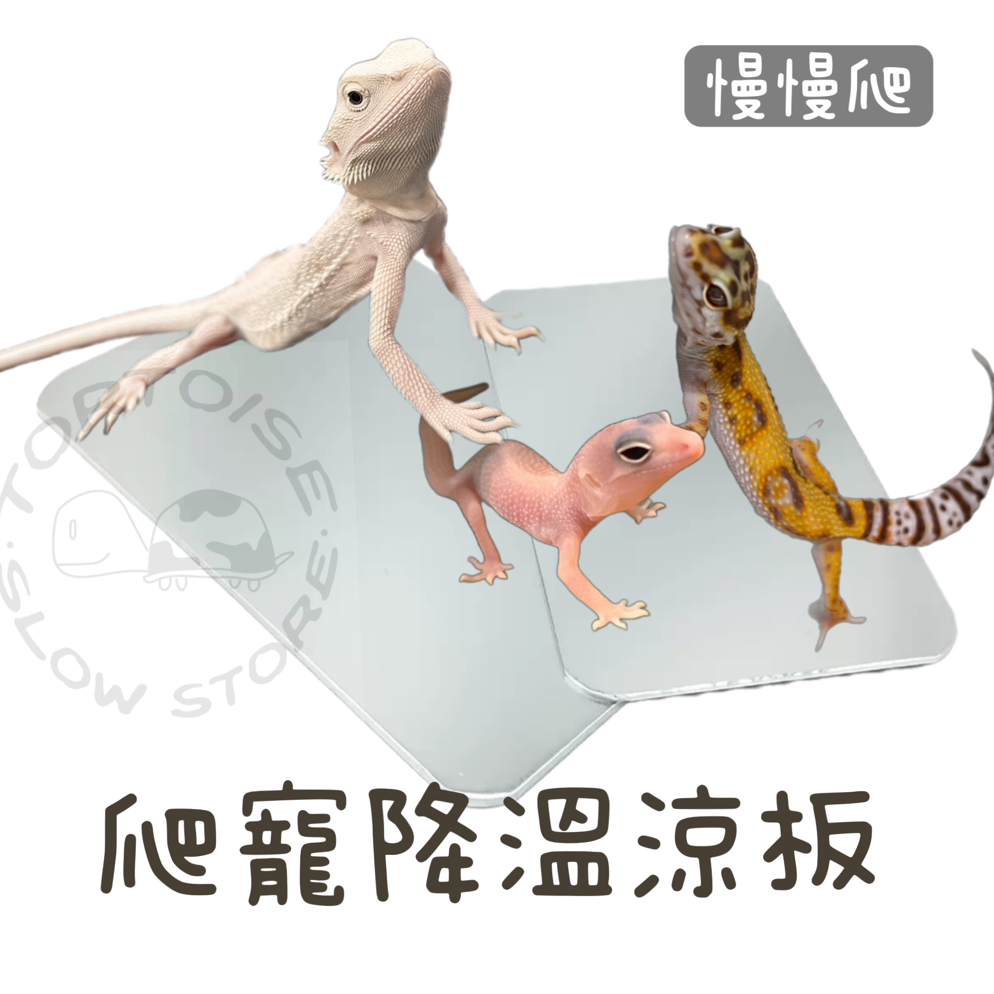 image_7D4F50B6-9BD6-423D-8CCE-A028C5C9A31D_1753065860