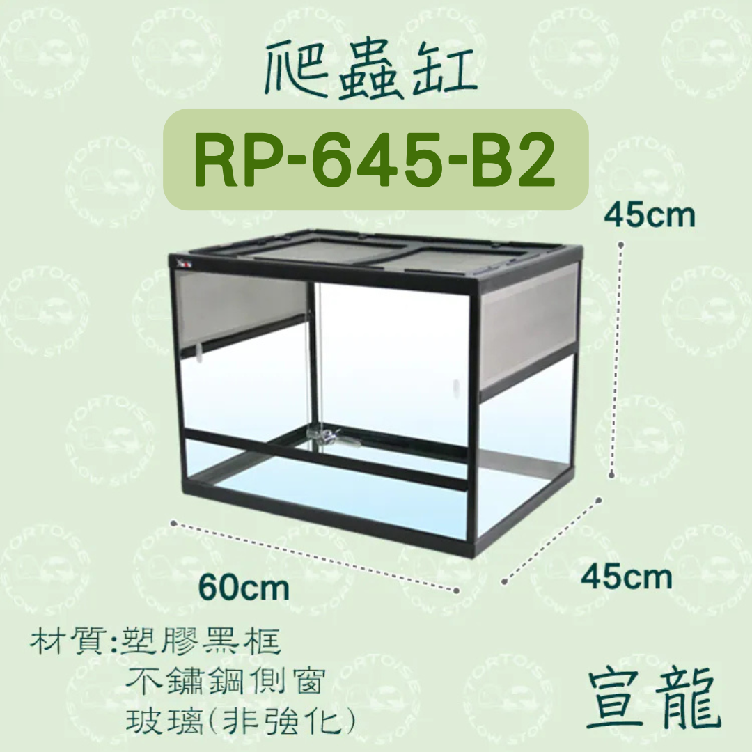 烏龜兩棲生態盆 (2)