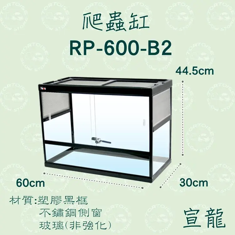 800x (11)