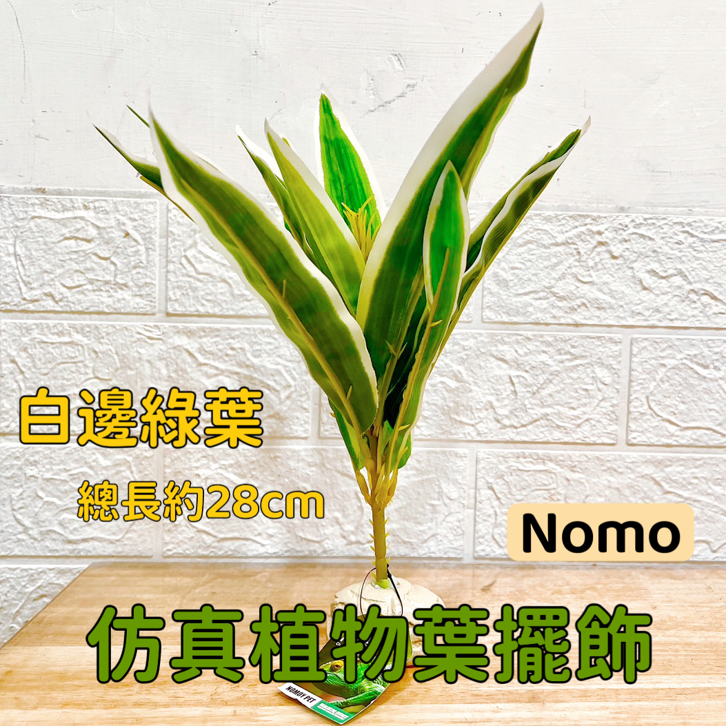 image_BA3E98FF-C9C5-4B98-AD9A-90BD853C92AB_1758528701