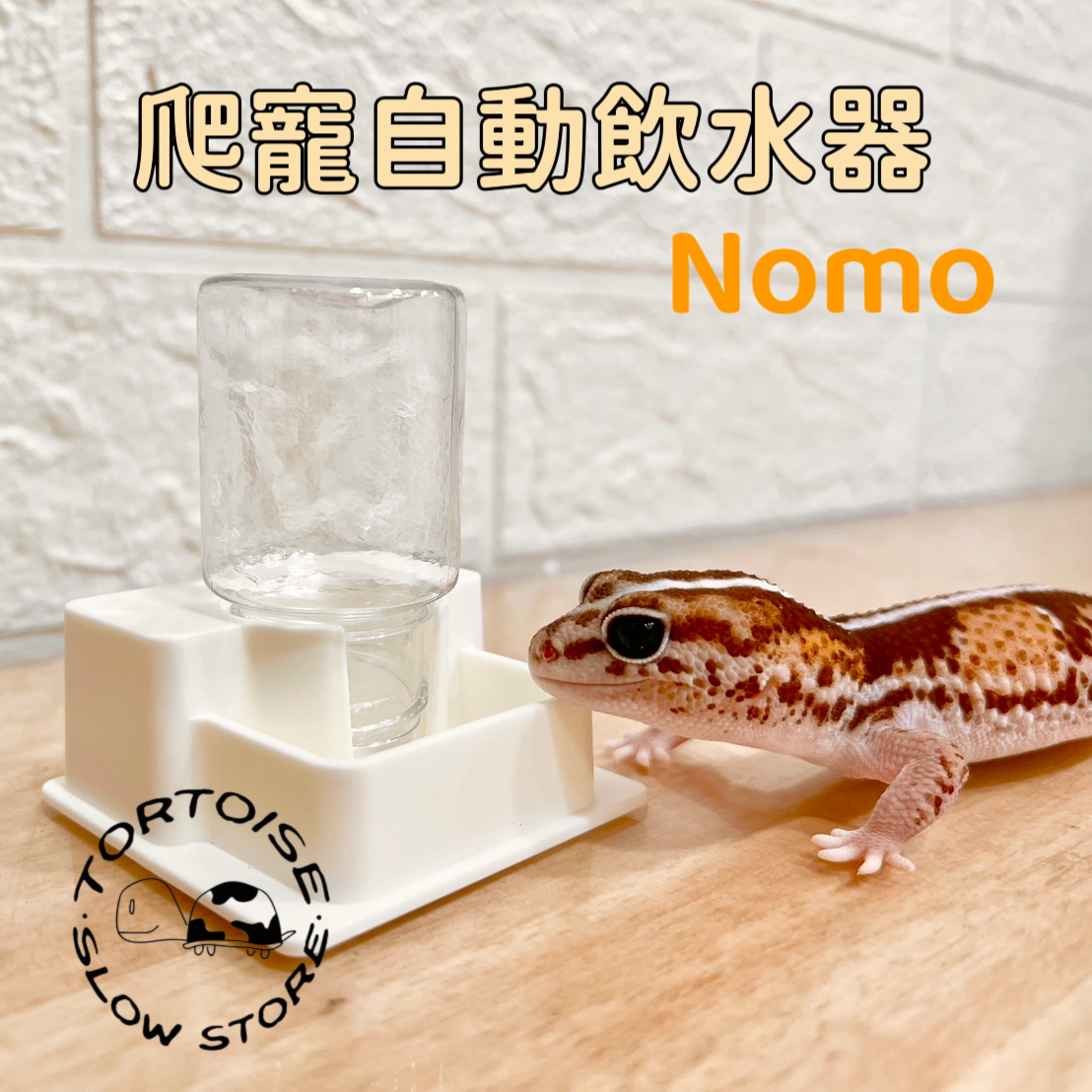 image_BDD02EEB-6CF7-4F1A-B0F5-60942AD6AA9D_1758769364