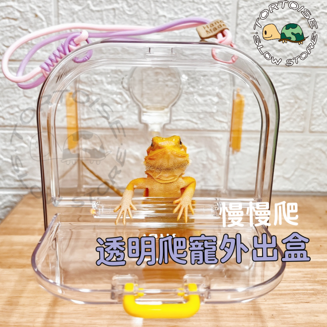 image_BC7B47C3-48B2-45E7-822F-6FB013A4E092_1758874853