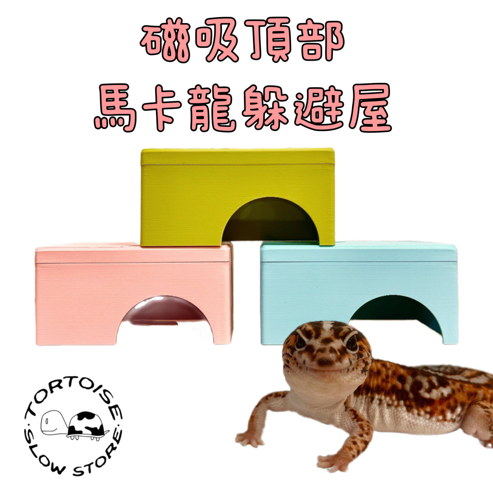 image_D85C6EA8-78CF-4AAD-B121-9189A54AAD4D_1762236993