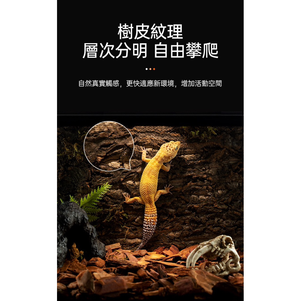 tw-11134207-81ztf-mik2gv2kedj4ff