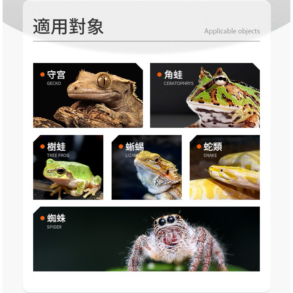 tw-11134207-81ztg-mik2gv2qycxu47