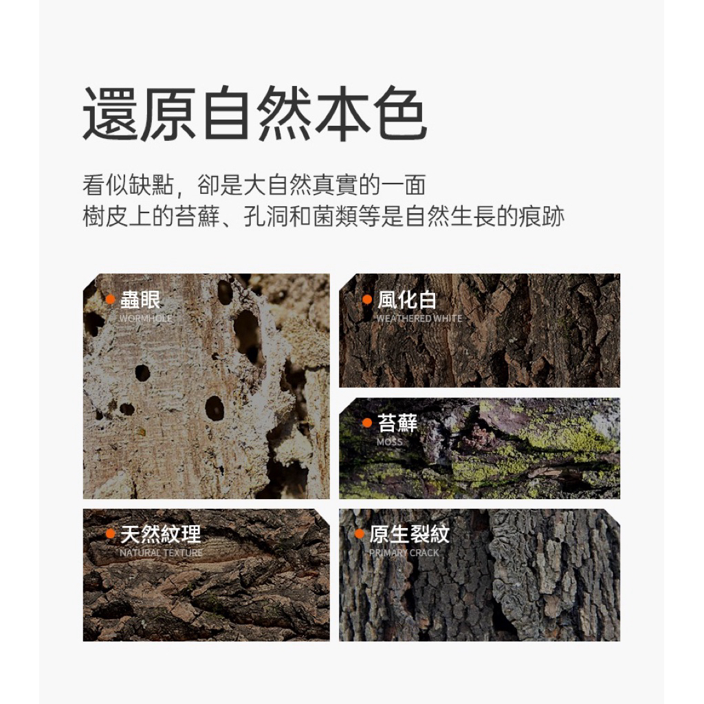 tw-11134207-81ztj-mik2gv2k5y4n15