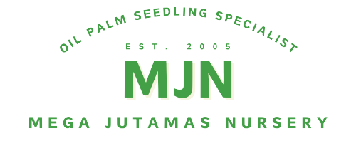 MJ Nursery