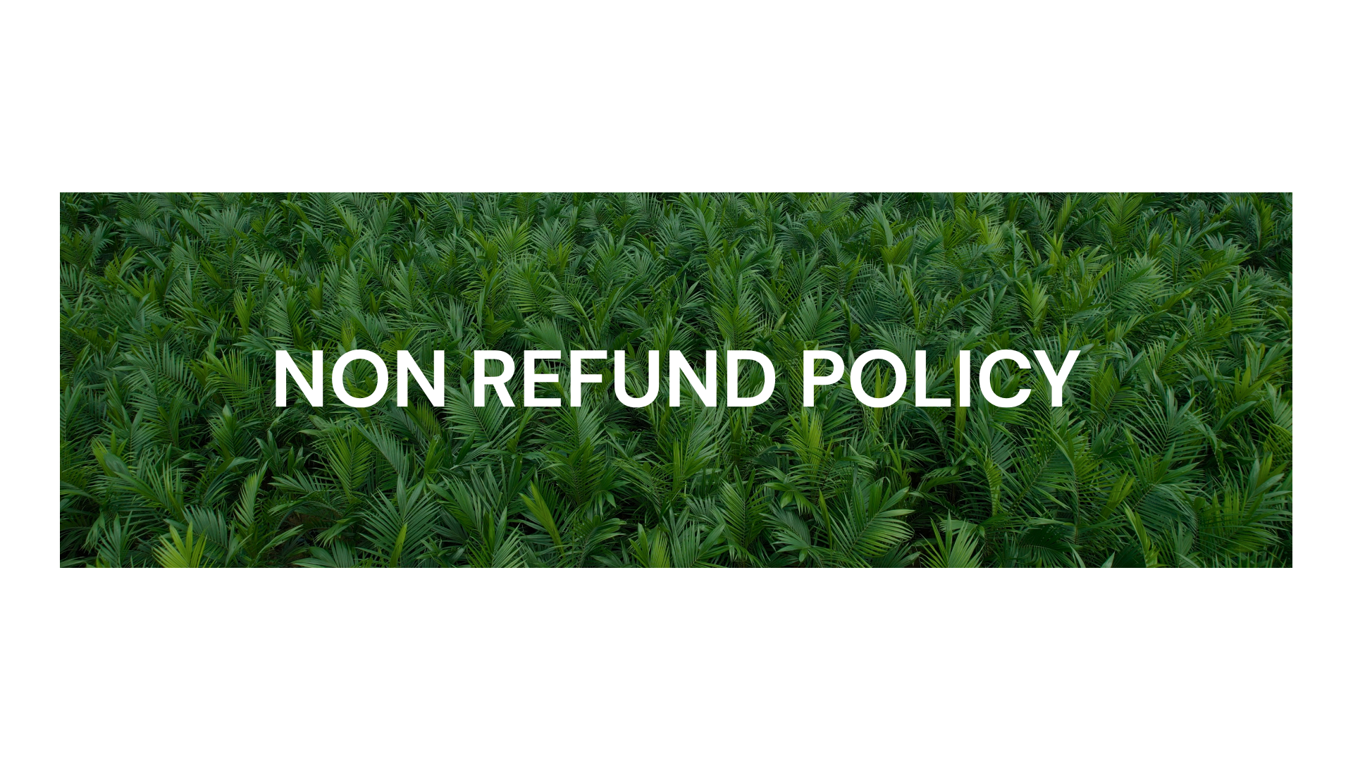 NON REFUND POLICY