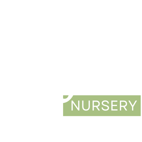 MJM Nursery