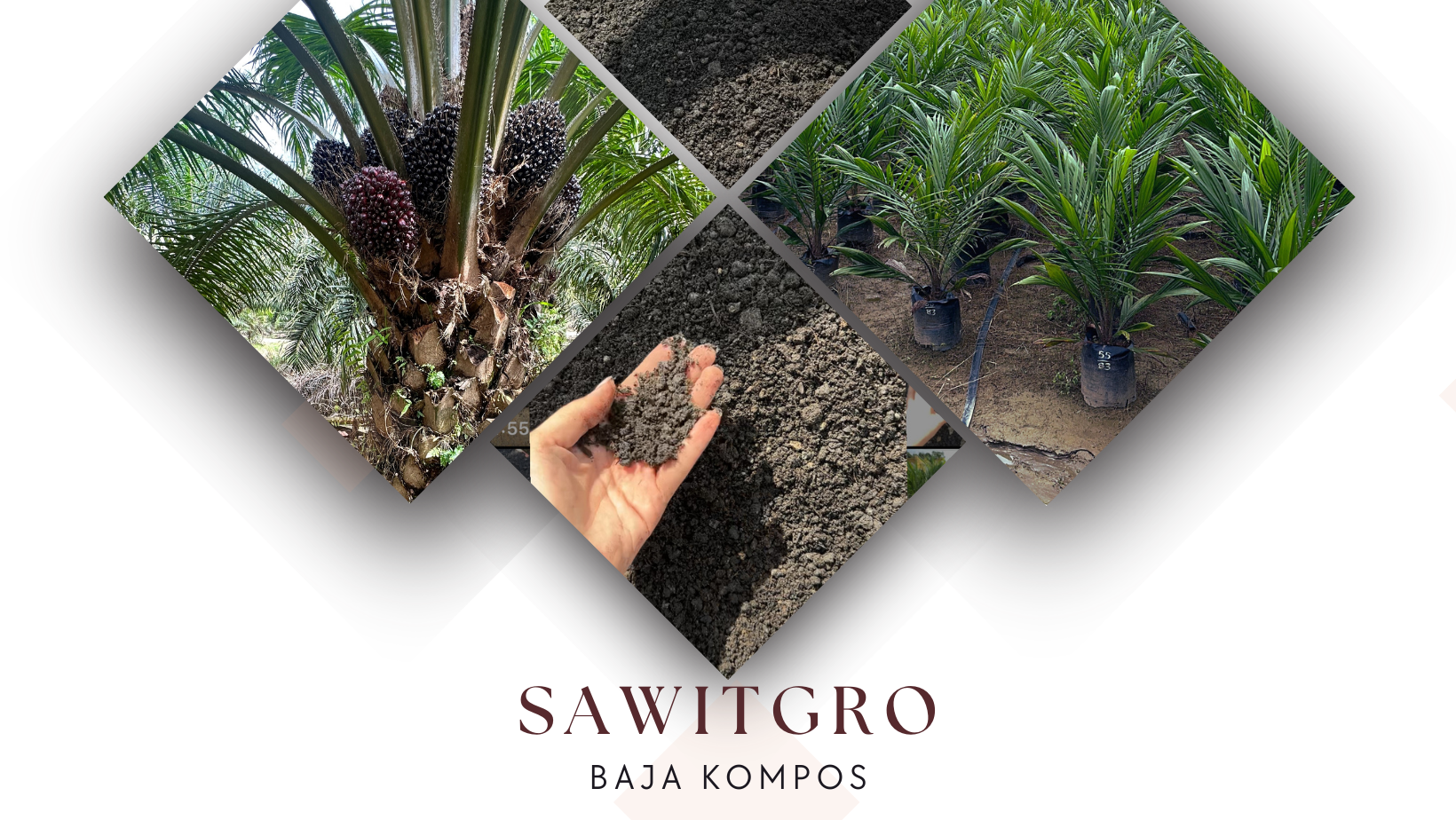 Sawitgro (Facebook Cover)