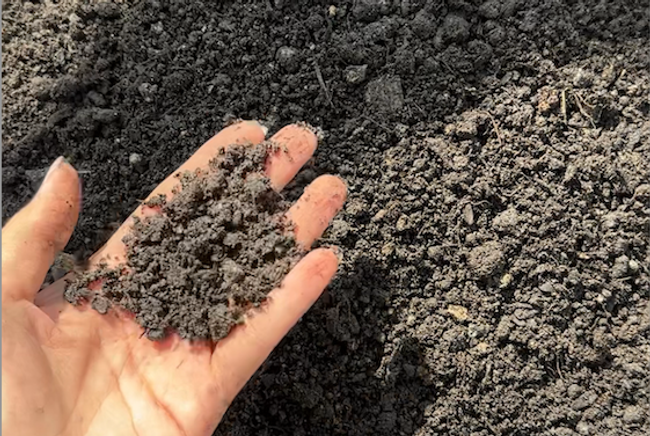 MJM Nursery | MPOB Certified Oil Palm Seedlings |  - SawitGro (Baja Kompos)