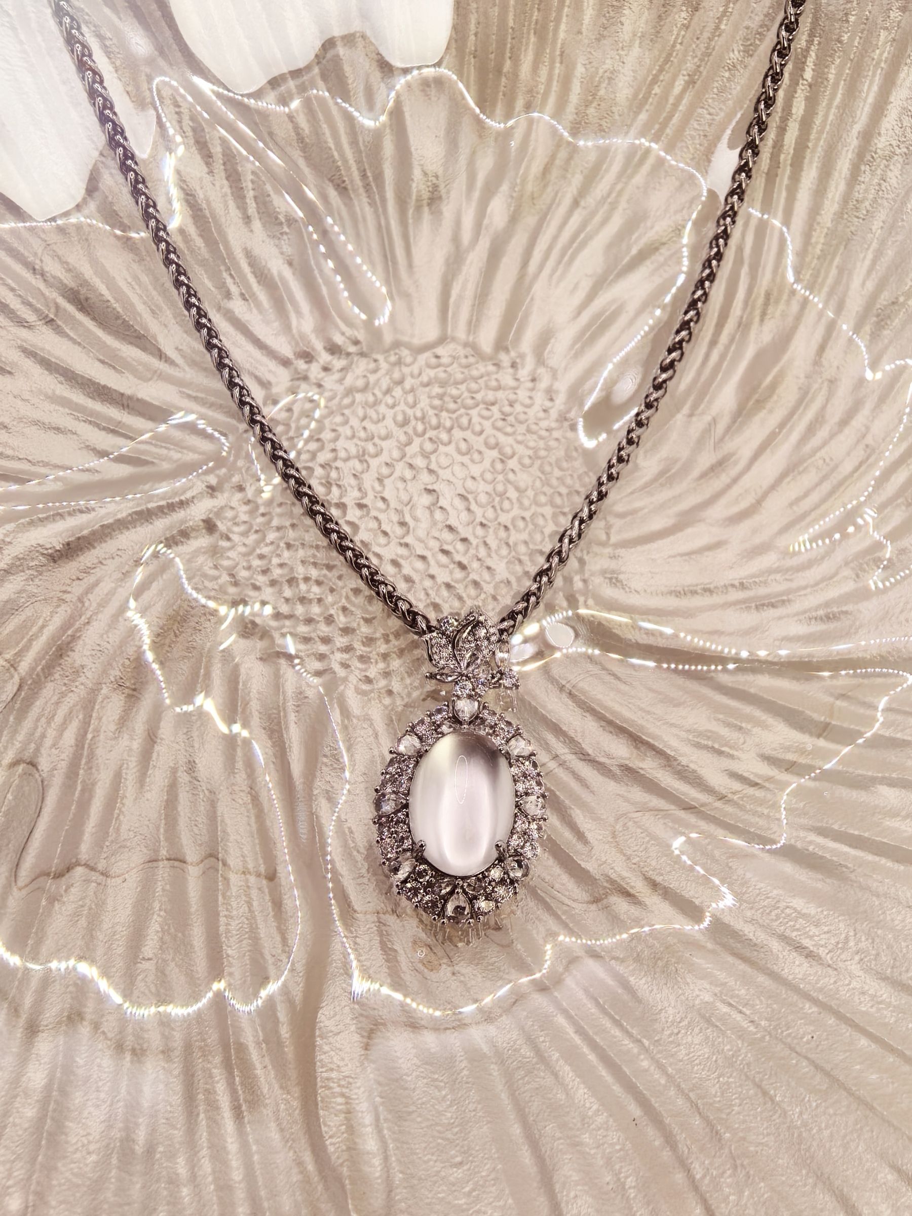 IMG_20251114_153607_edit_15084252585790